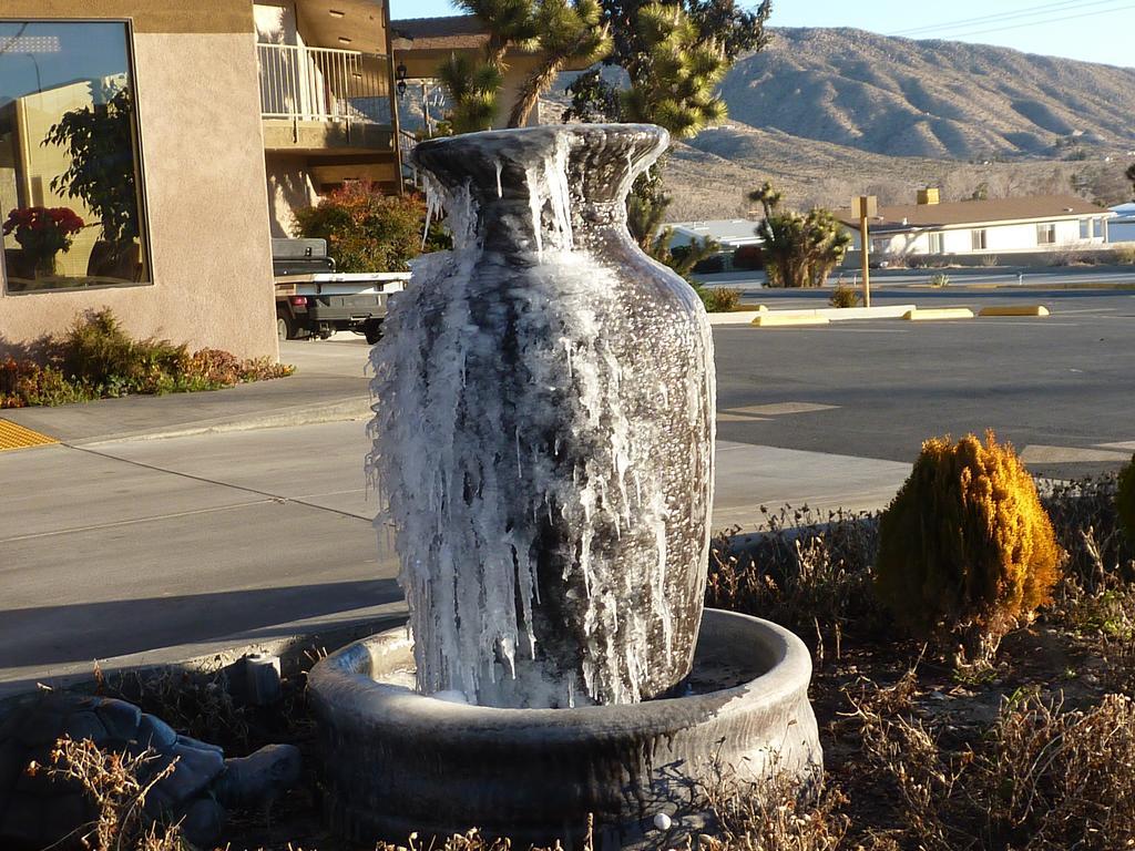 Travelodge Inn & Suites By Wyndham Yucca Valley/Joshua Tree Ngoại thất bức ảnh